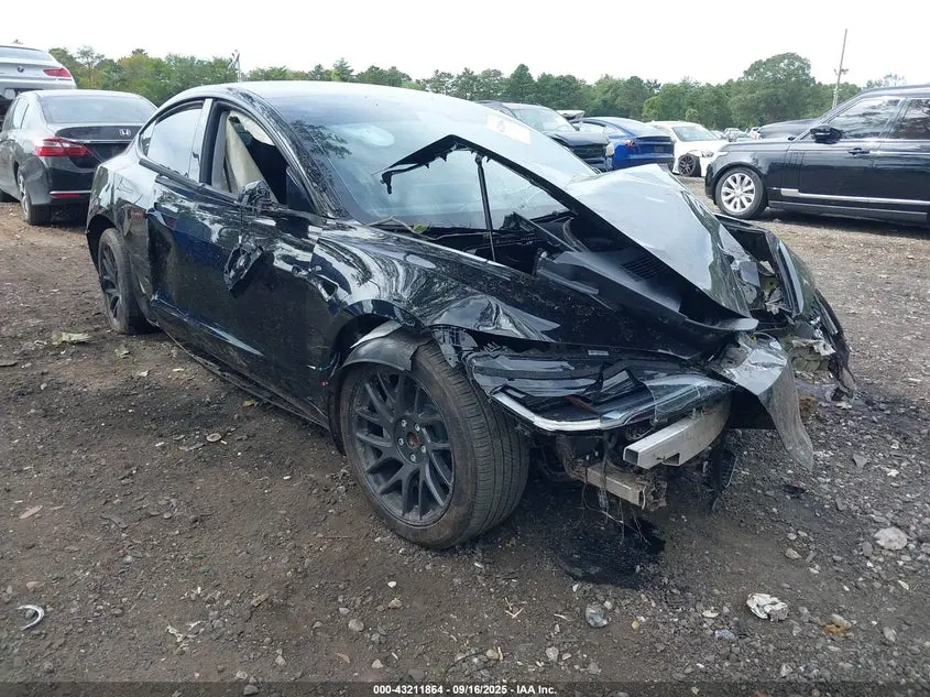 Tesla Model 3 Long Range Dual Motor All-Wheel Drive/Rear-Wheel Drive 2024