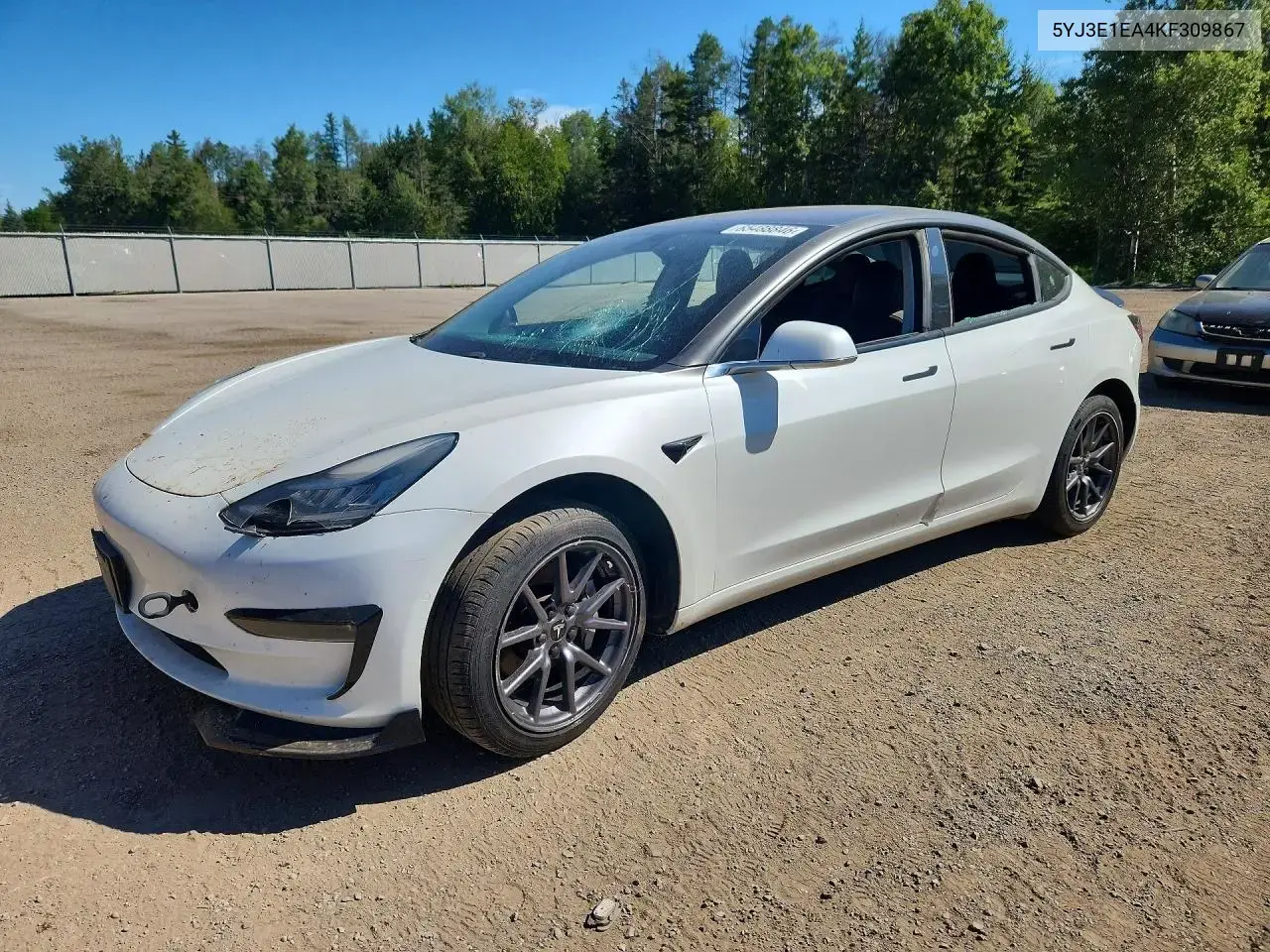 Tesla Model 3 2019