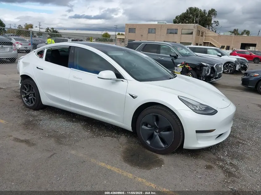 Tesla Model 3 Long Range/Mid Range/Standard Range/Standard Range Plus 2019