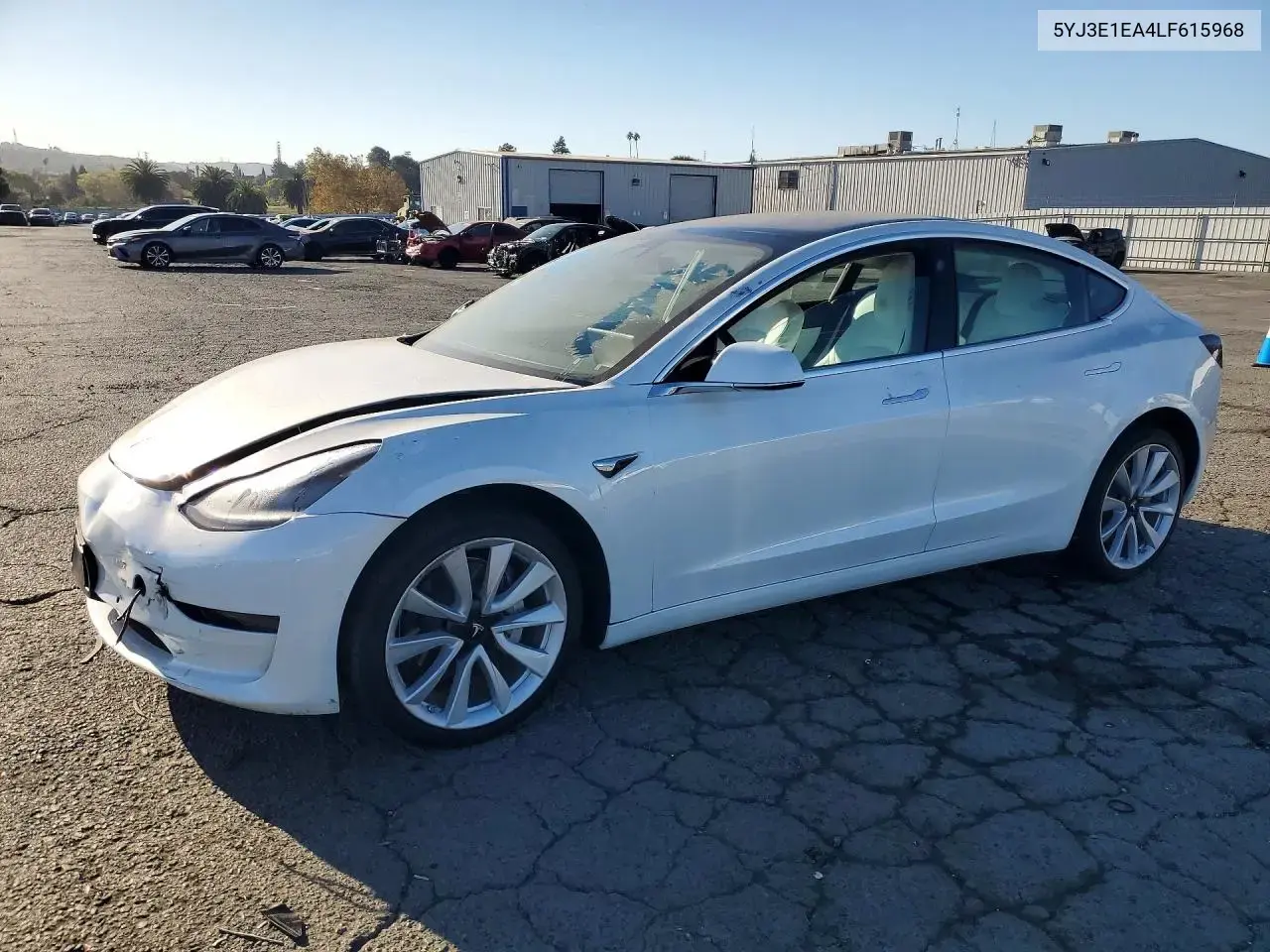 Tesla Model 3 2020