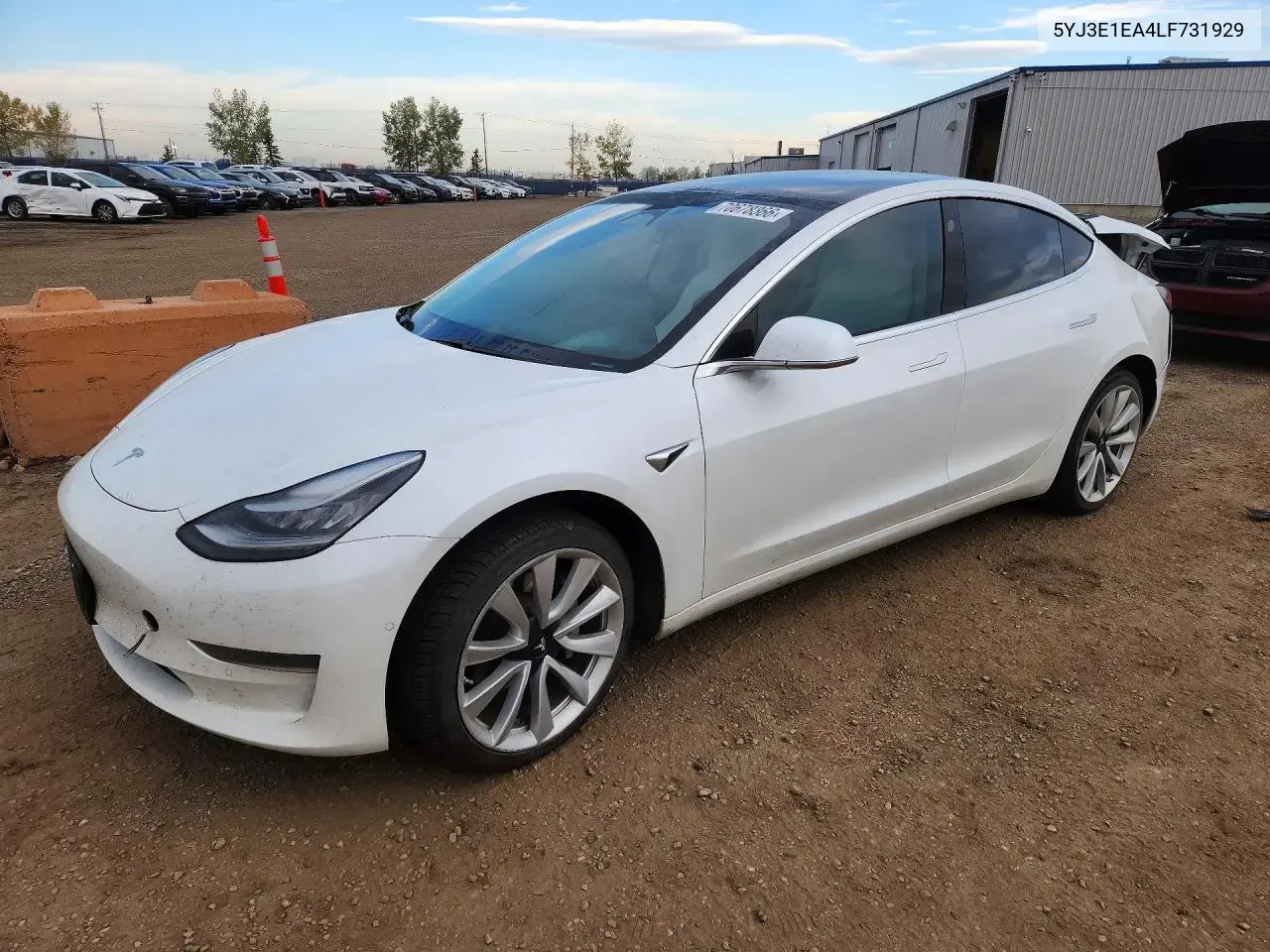 Tesla Model 3 2020