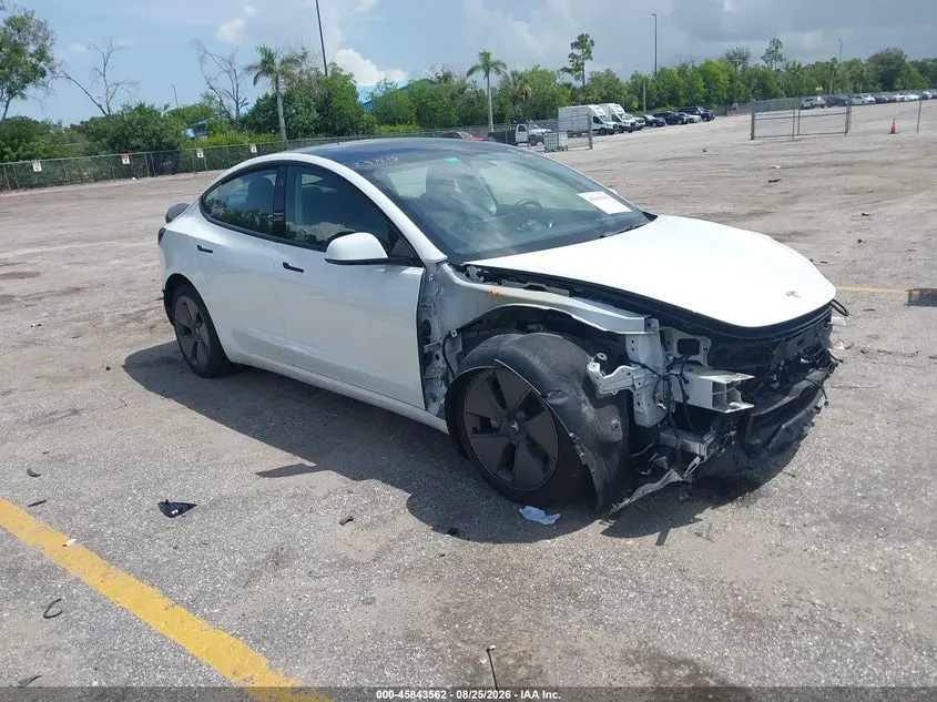 Tesla Model 3 Rear-Wheel Drive 2022