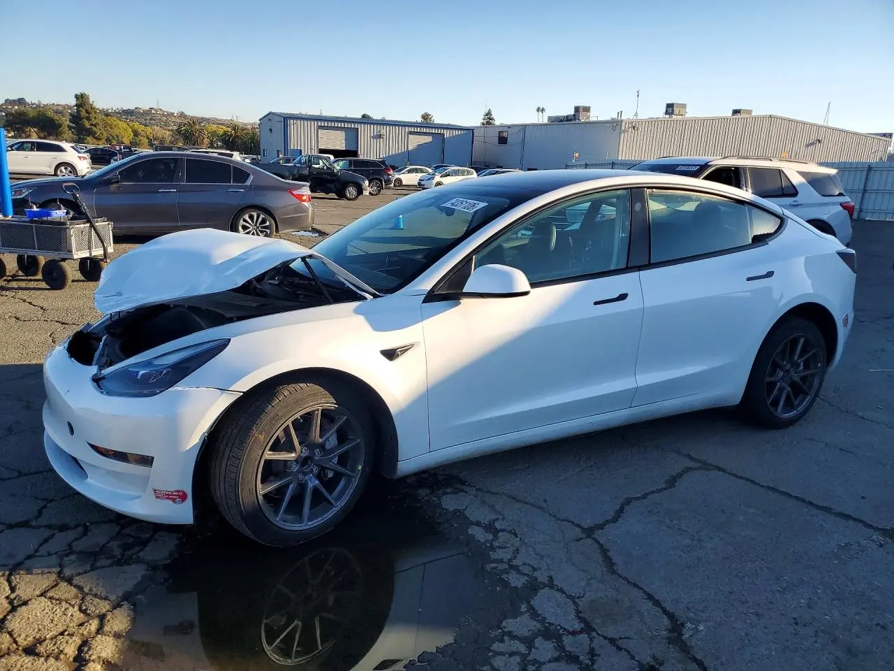Tesla Model 3 2023
