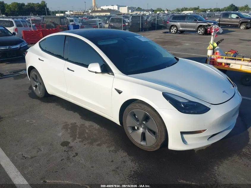 Tesla Model 3 Rear-Wheel Drive 2023