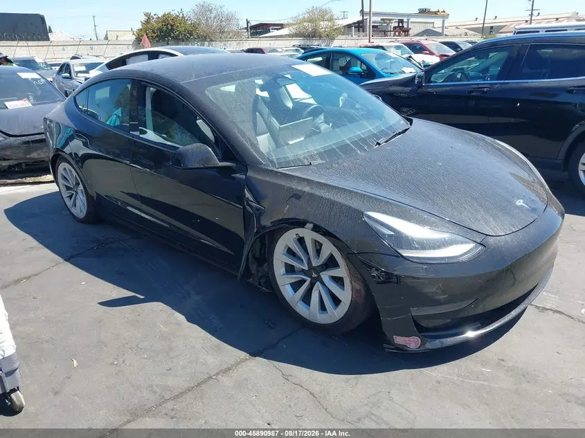 Tesla Model 3 Rear-Wheel Drive 2023