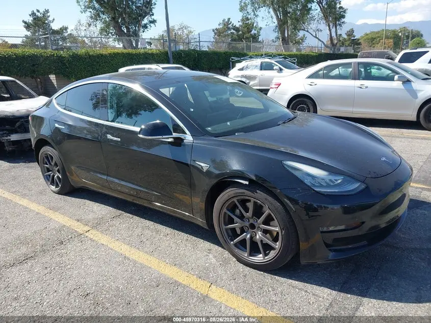 Tesla Model 3 Long Range/Mid Range/Standard Range/Standard Range Plus 2019