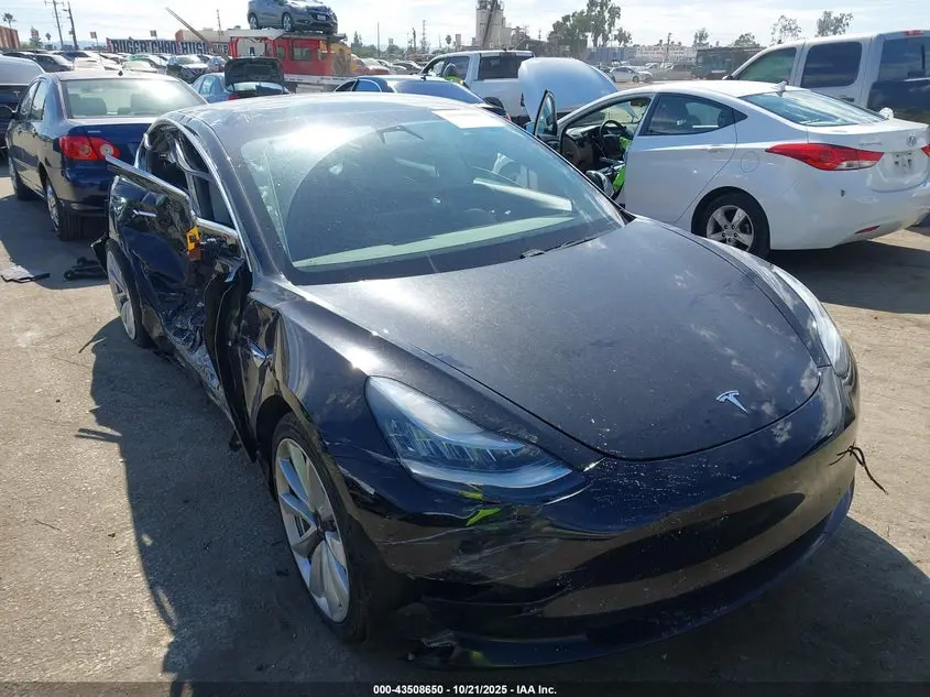 Tesla Model 3 Long Range/Mid Range/Standard Range/Standard Range Plus 2019