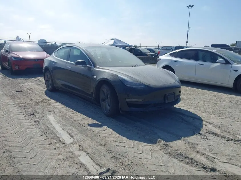 Tesla Model 3 2019