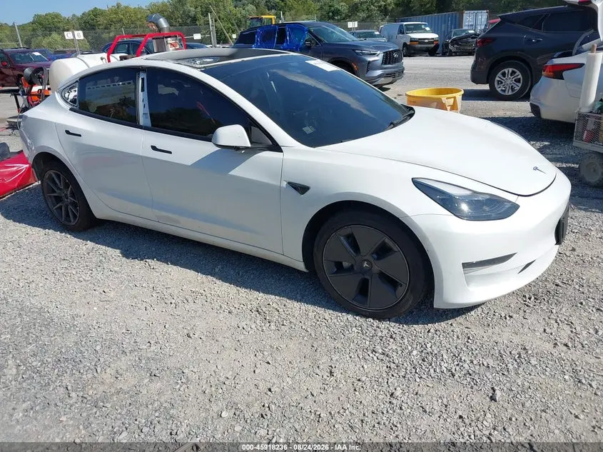 Tesla Model 3 Rear-Wheel Drive 2023