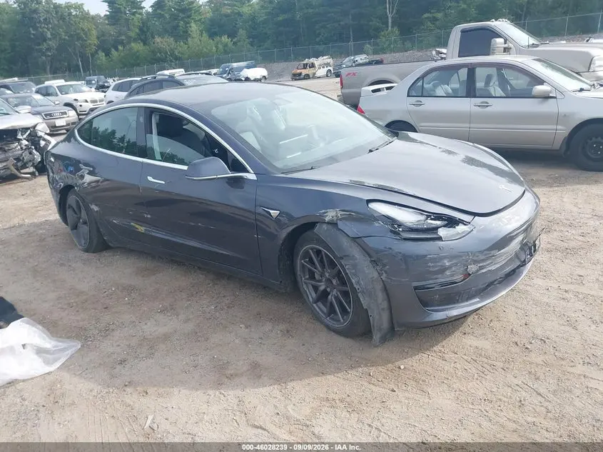 Tesla Model 3 Long Range/Mid Range/Standard Range/Standard Range Plus 2019