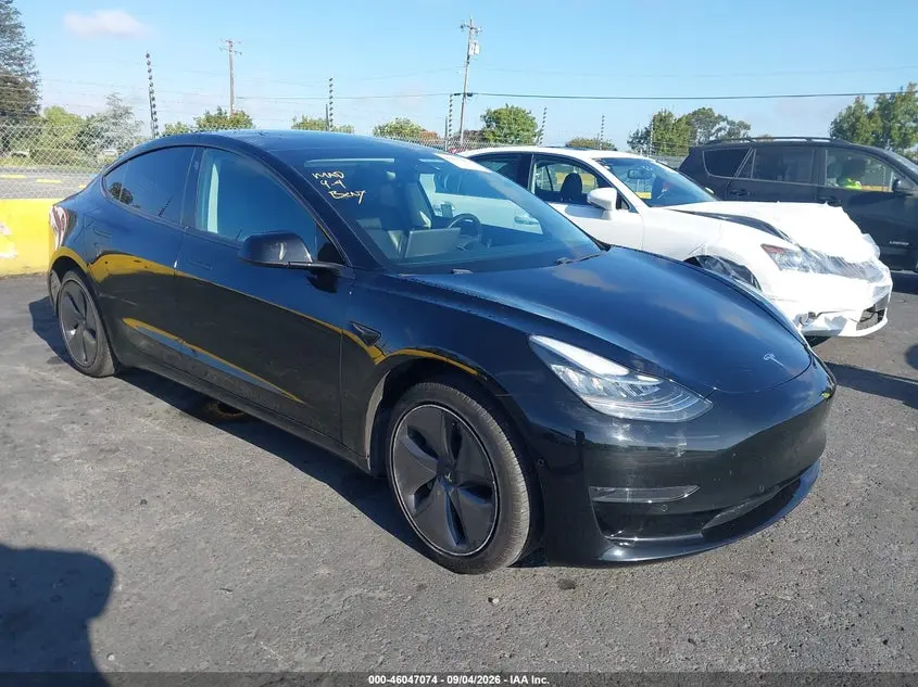 Tesla Model 3 Long Range/Mid Range/Standard Range/Standard Range Plus 2019