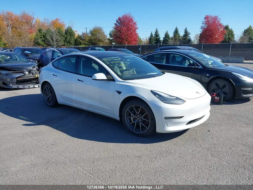 Tesla Model 3 2021