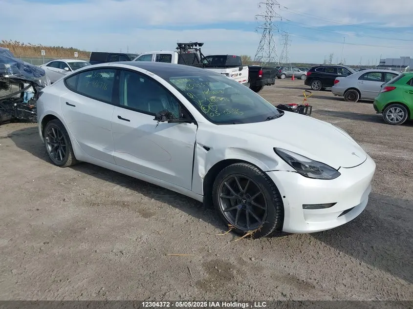 Tesla Model 3 Standard Range/Standard Range Plus 2021