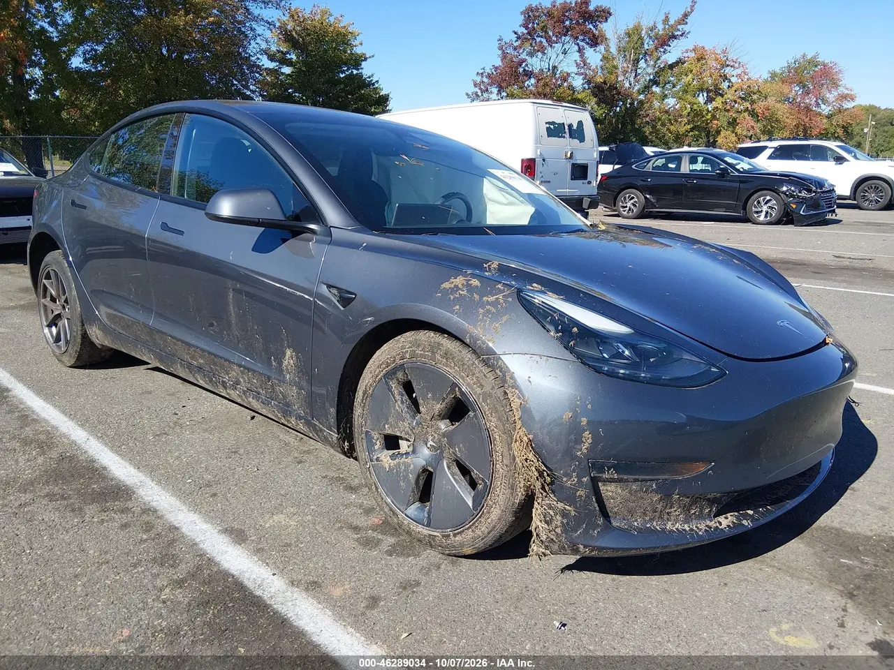 Tesla Model 3 Rear-Wheel Drive 2023
