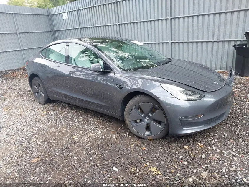 Tesla Model 3 Rear-Wheel Drive 2023