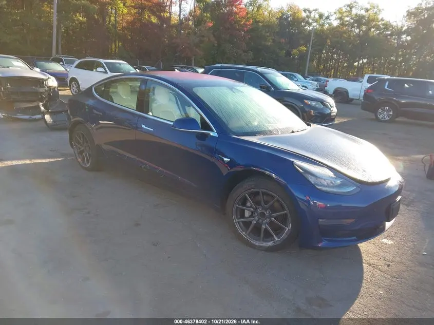 Tesla Model 3 Long Range/Mid Range/Standard Range/Standard Range Plus 2019