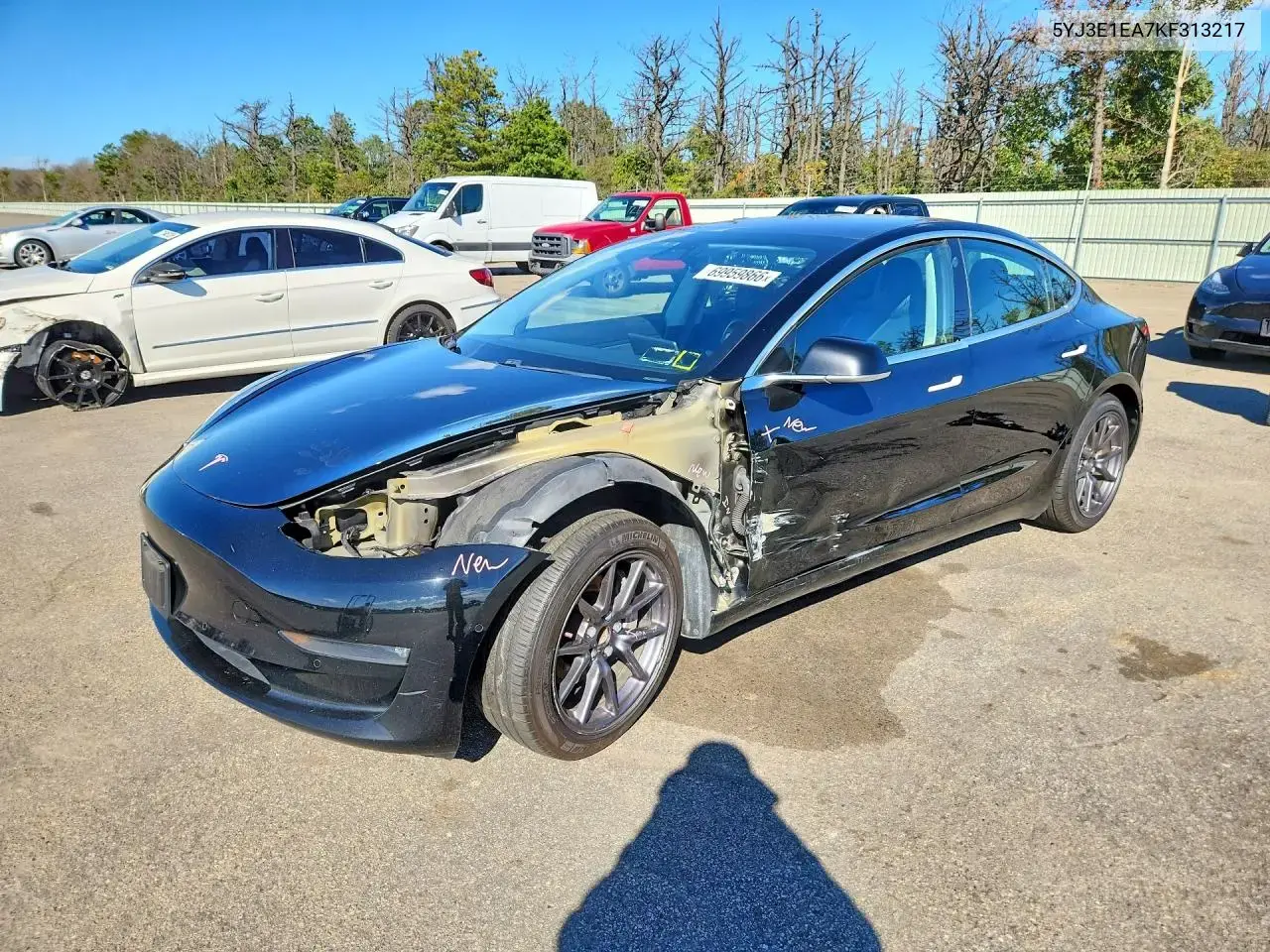 Tesla Model 3 2019
