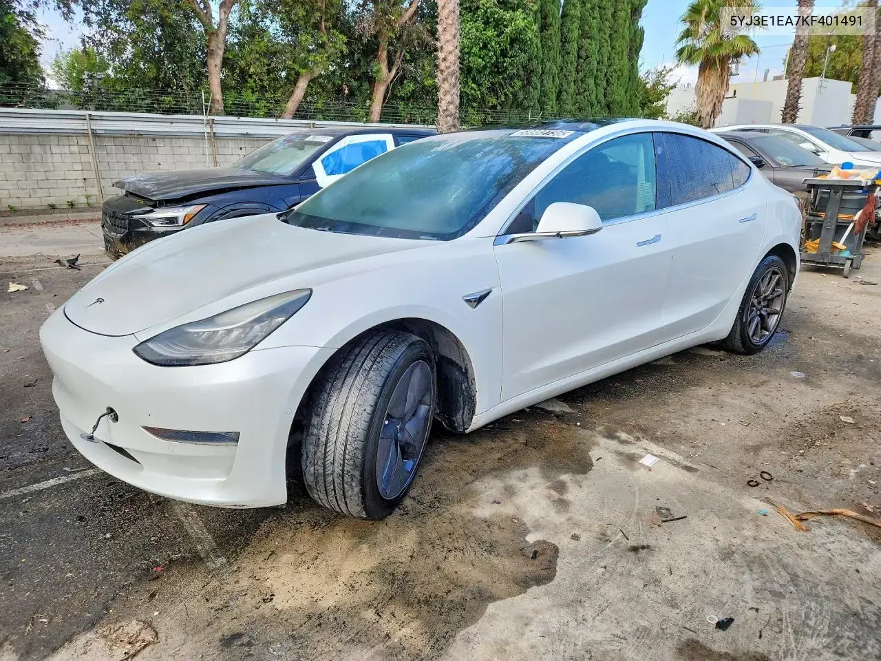 Tesla Model 3 2019