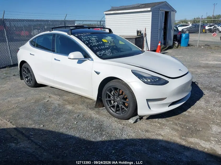 Tesla Model 3 Long Range/Mid Range/Standard Range/Standard Range Plus 2019