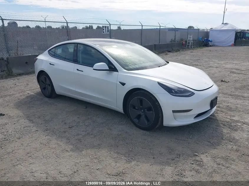 Tesla Model 3 2021
