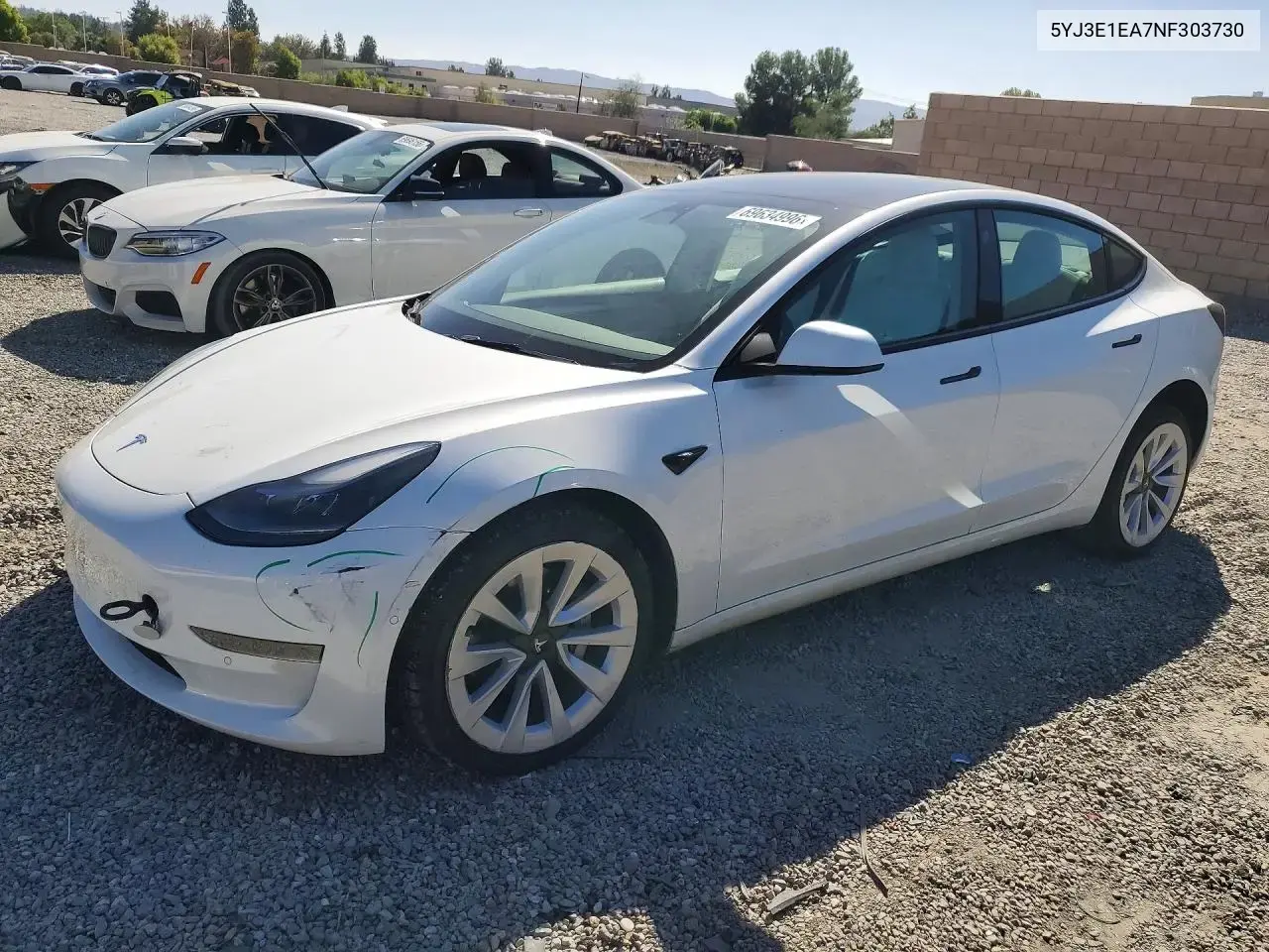 Tesla Model 3 2022