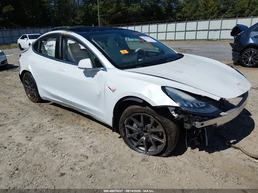 Tesla Model 3 Standard Range Plus Rear-Wheel Drive/Standard Range Rear-Wheel Drive 2020