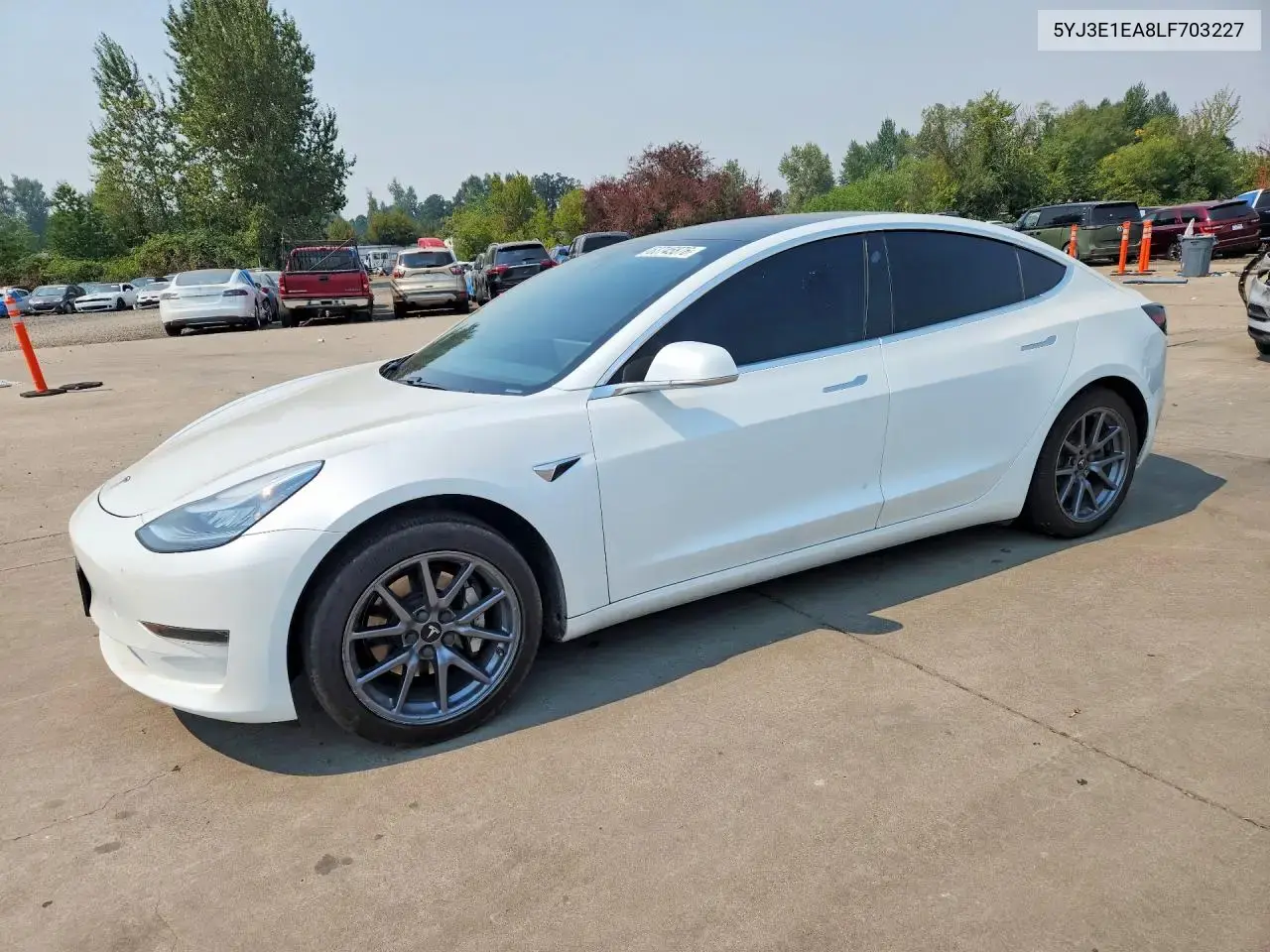 Tesla Model 3 2020