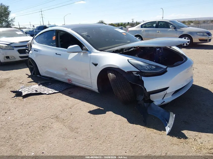 Tesla Model 3 Standard Range Plus Rear-Wheel Drive/Standard Range Rear-Wheel Drive 2020