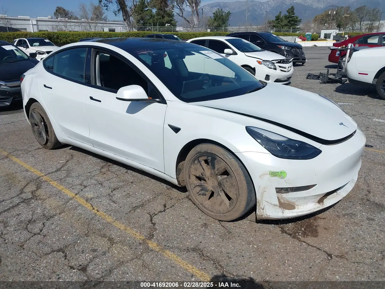 Tesla Model 3 Rear-Wheel Drive 2023