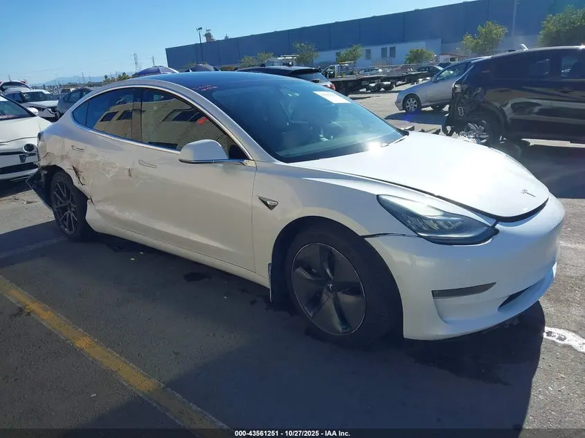 Tesla Model 3 Long Range/Mid Range/Standard Range/Standard Range Plus 2019