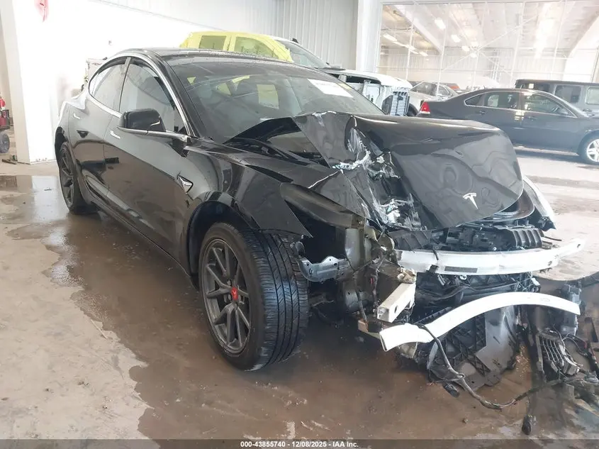 Tesla Model 3 Long Range/Mid Range/Standard Range/Standard Range Plus 2019