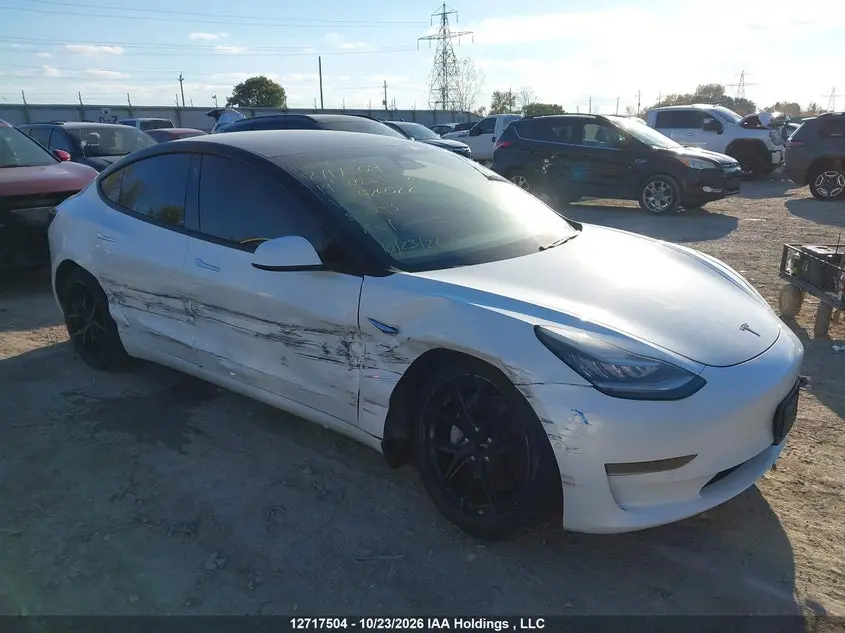 Tesla Model 3 Long Range/Mid Range/Standard Range/Standard Range Plus 2019