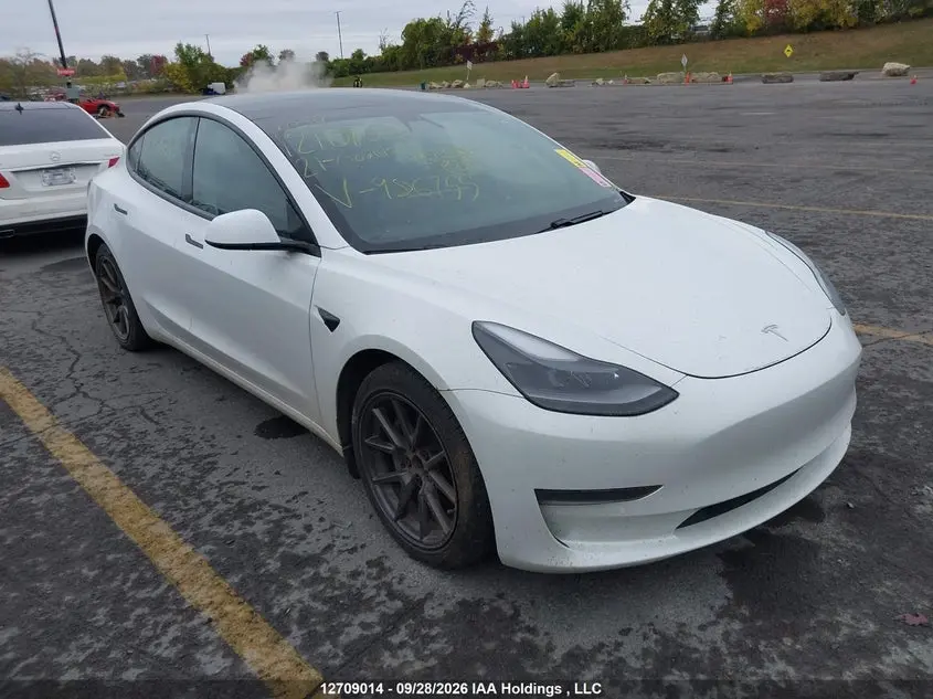 Tesla Model 3 Standard Range/Standard Range Plus 2021