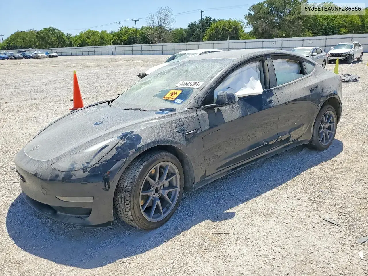 Tesla Model 3 2022