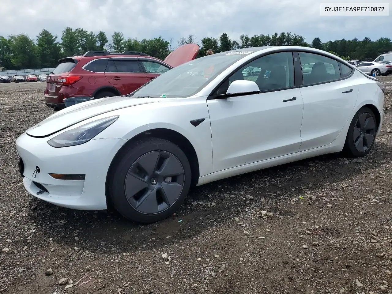 Tesla Model 3 2023