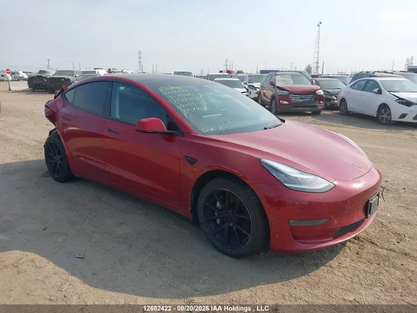 Tesla Model 3 2019