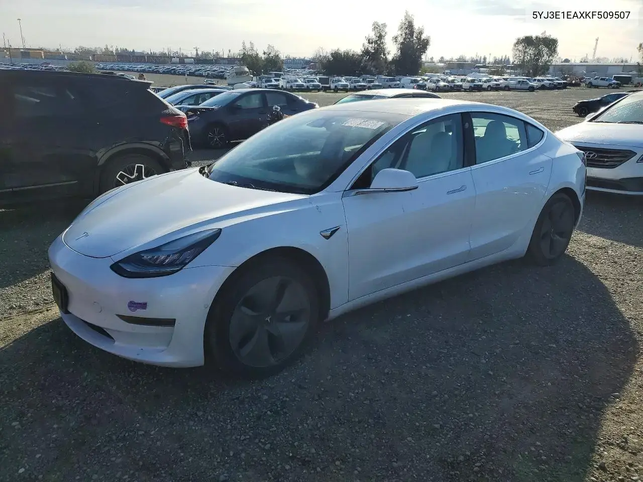 Tesla Model 3 2019
