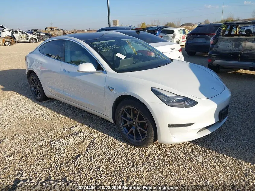 Tesla Model 3 Standard Range Plus 50 2020