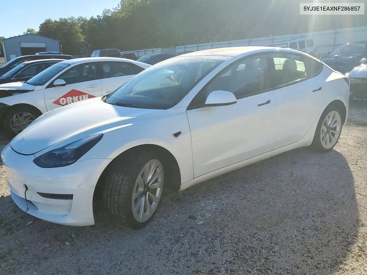 Tesla Model 3 2022
