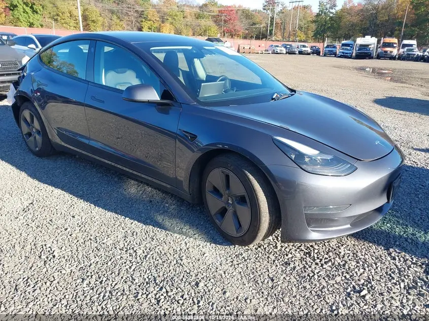 Tesla Model 3 Rear-Wheel Drive 2023