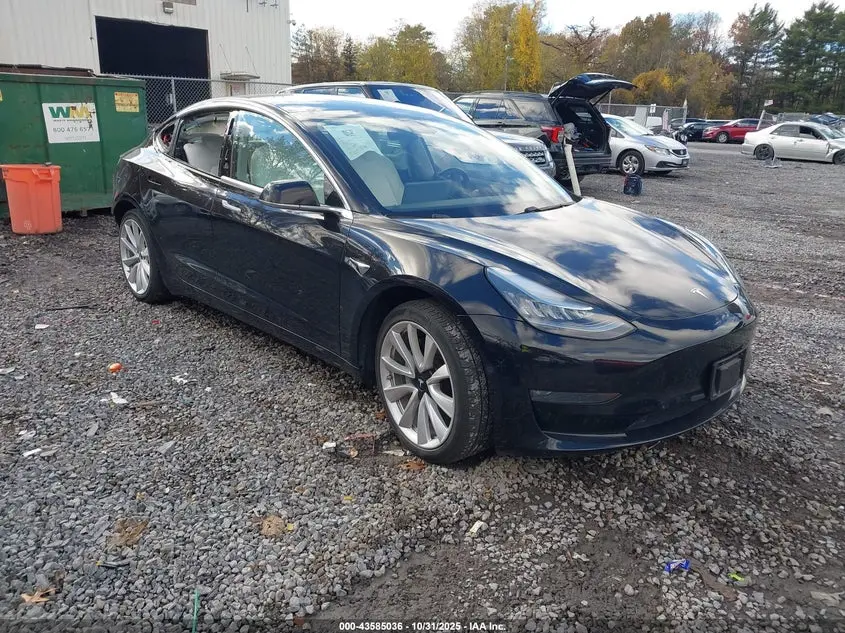 Tesla Model 3 Long Range/Performance 2019