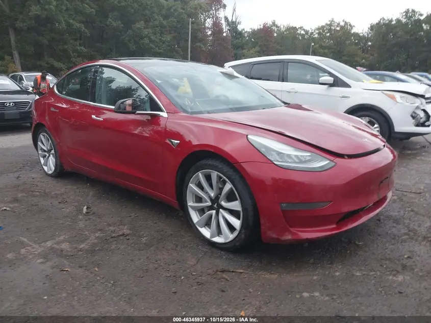 Tesla Model 3 Long Range/Performance 2019