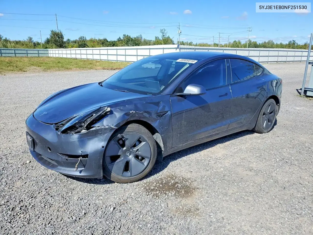 Tesla Model 3 2022