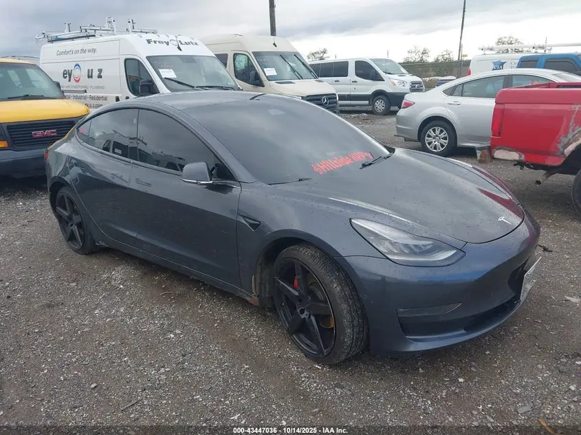 Tesla Model 3 Long Range/Performance 2019