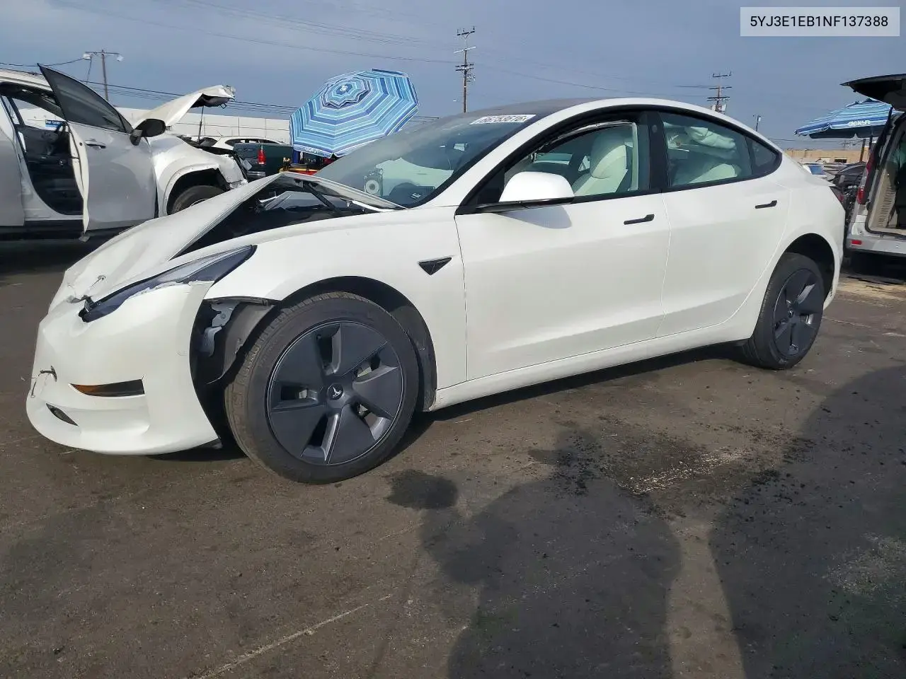Tesla Model 3 2022