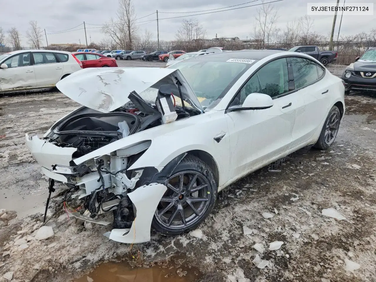 Tesla Model 3 2022