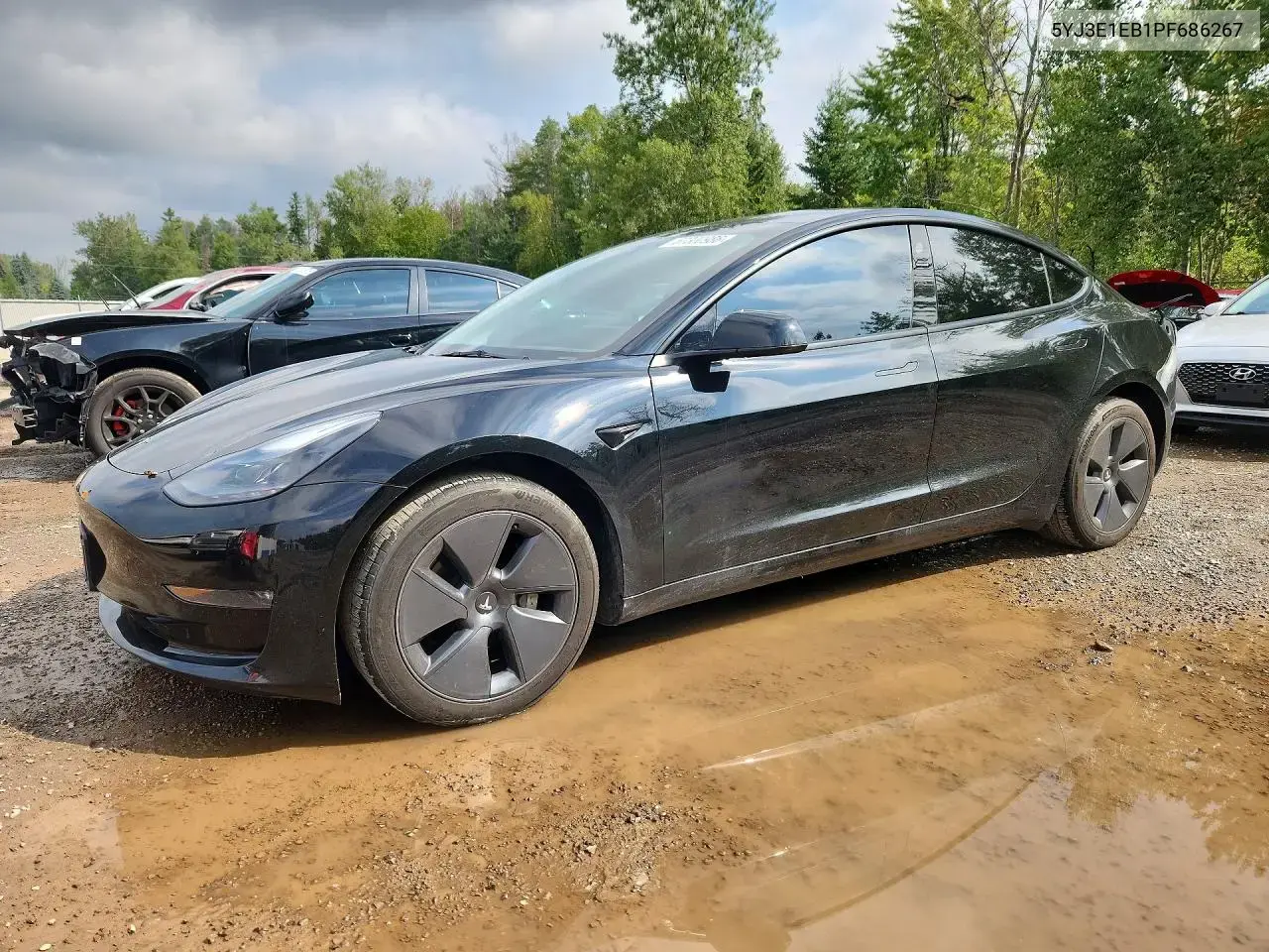 Tesla Model 3 2023