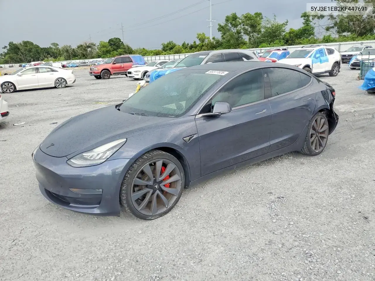 Tesla Model 3 2019