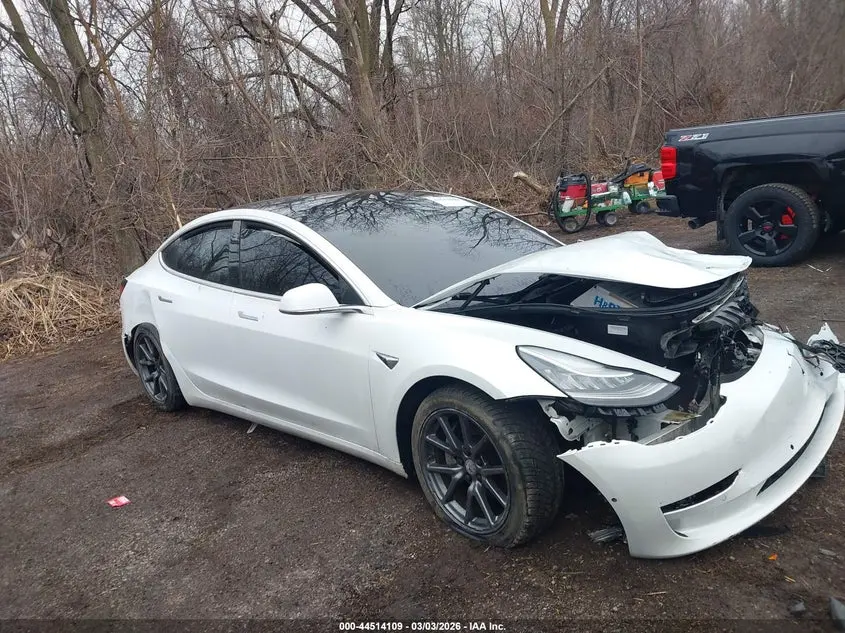 Tesla Model 3 Long Range/Performance 2019