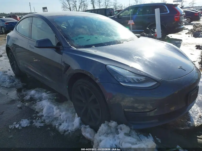 Tesla Model 3 Long Range/Performance 2019